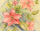 Clematis - Aquarell
