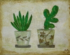 Kakteen - Acryl, Fresco