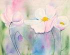 Anemonen - Acryl