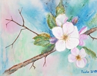 Apfelblüte - Acryl