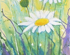 Margeriten - Acryl