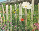 Auf der Alm - Acryl