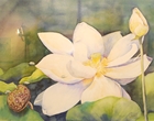 3 Phasen des Lebens - Aquarell