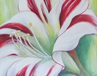 Ritterstern - Acryl