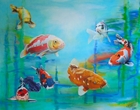 Kois - Acryl