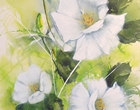 Rosen - Acryl