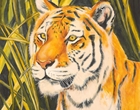 Wildlife - Eitempera