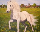Weißes Pferd - Acryl